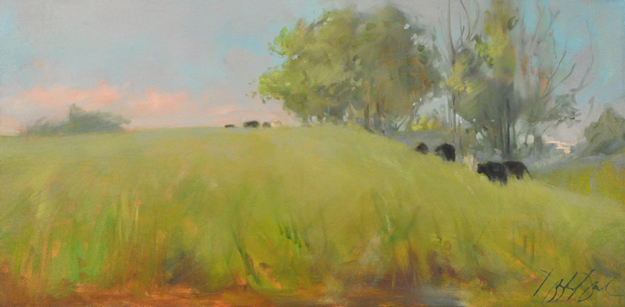 ROLLING FIELDS, #1711