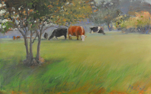 GRAZING, #2364
